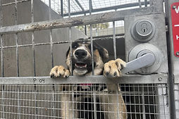 z headshot new crop.jpg