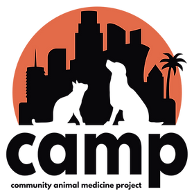 CAMP logo