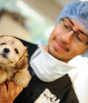 CAMP vet tech smiles down at fluffy golden puppy