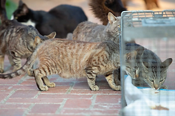 z headshot new crop.jpg