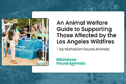 z headshot new crop.jpg